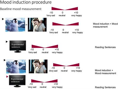 Context effects in language comprehension: The role of emotional state and attention on semantic and syntactic processing